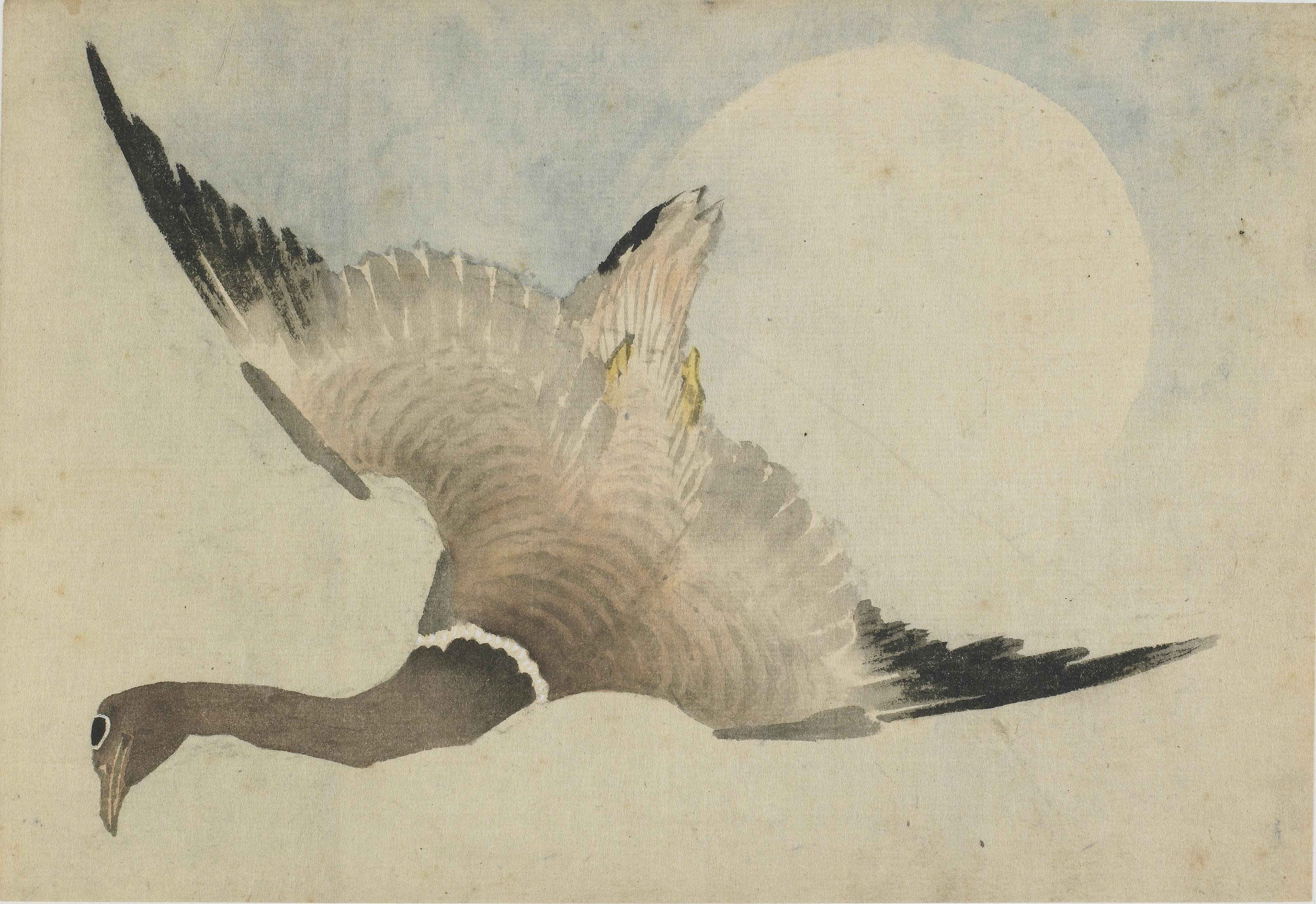 Katsushika Hokusai, Goose flying in front of the moon