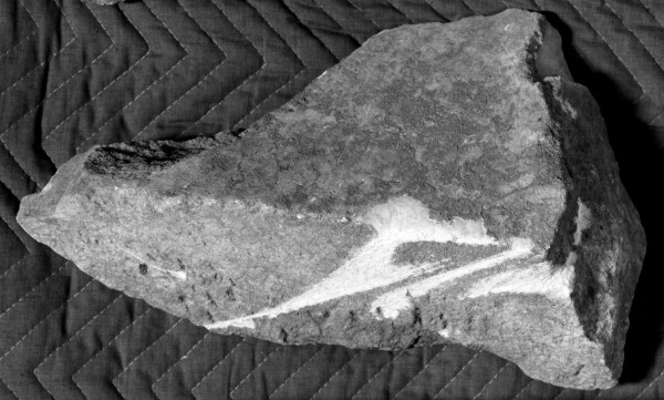 Unknown, Sculpture Fragment