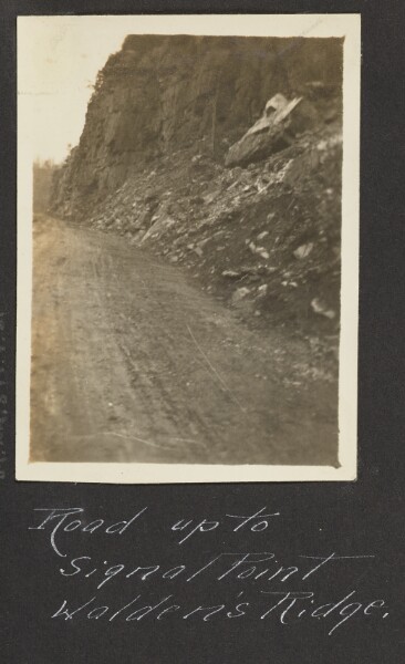 Unknown, [Road Up to Signal Point, Waldens Ridge]