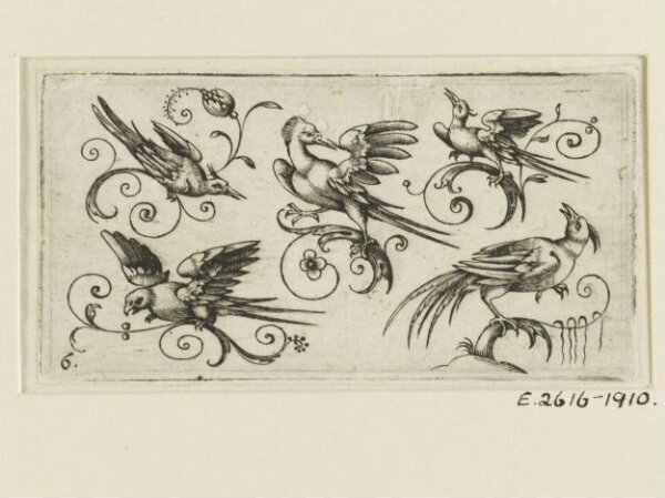 Unknown, Print
