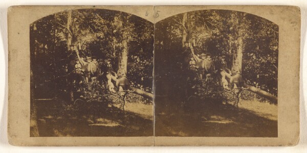 Unknown, [Group of children seated on a long tree branch]
