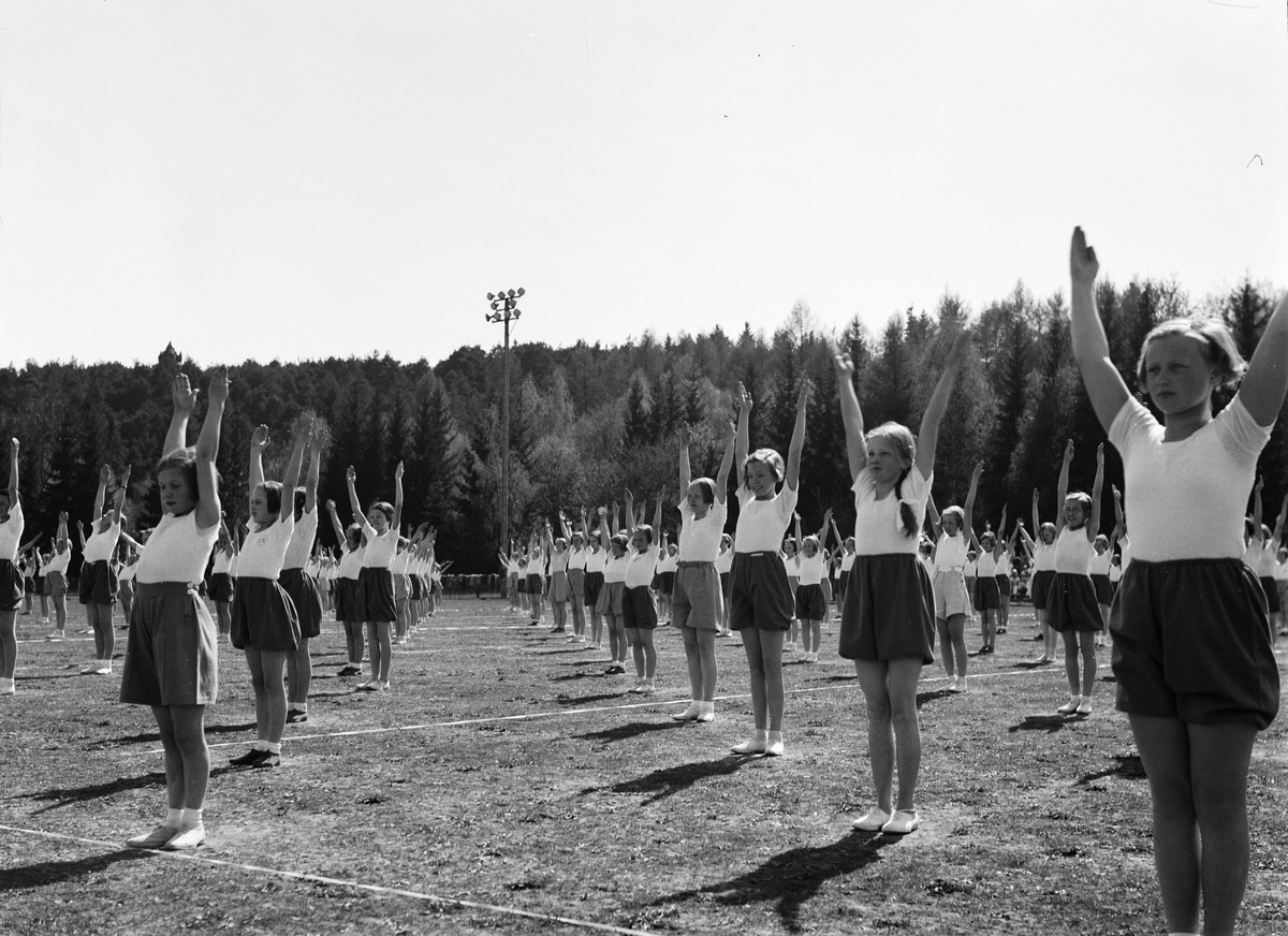 Paul Sandberg, Gymnastikuppvisning på Studenternas Idrottsplats