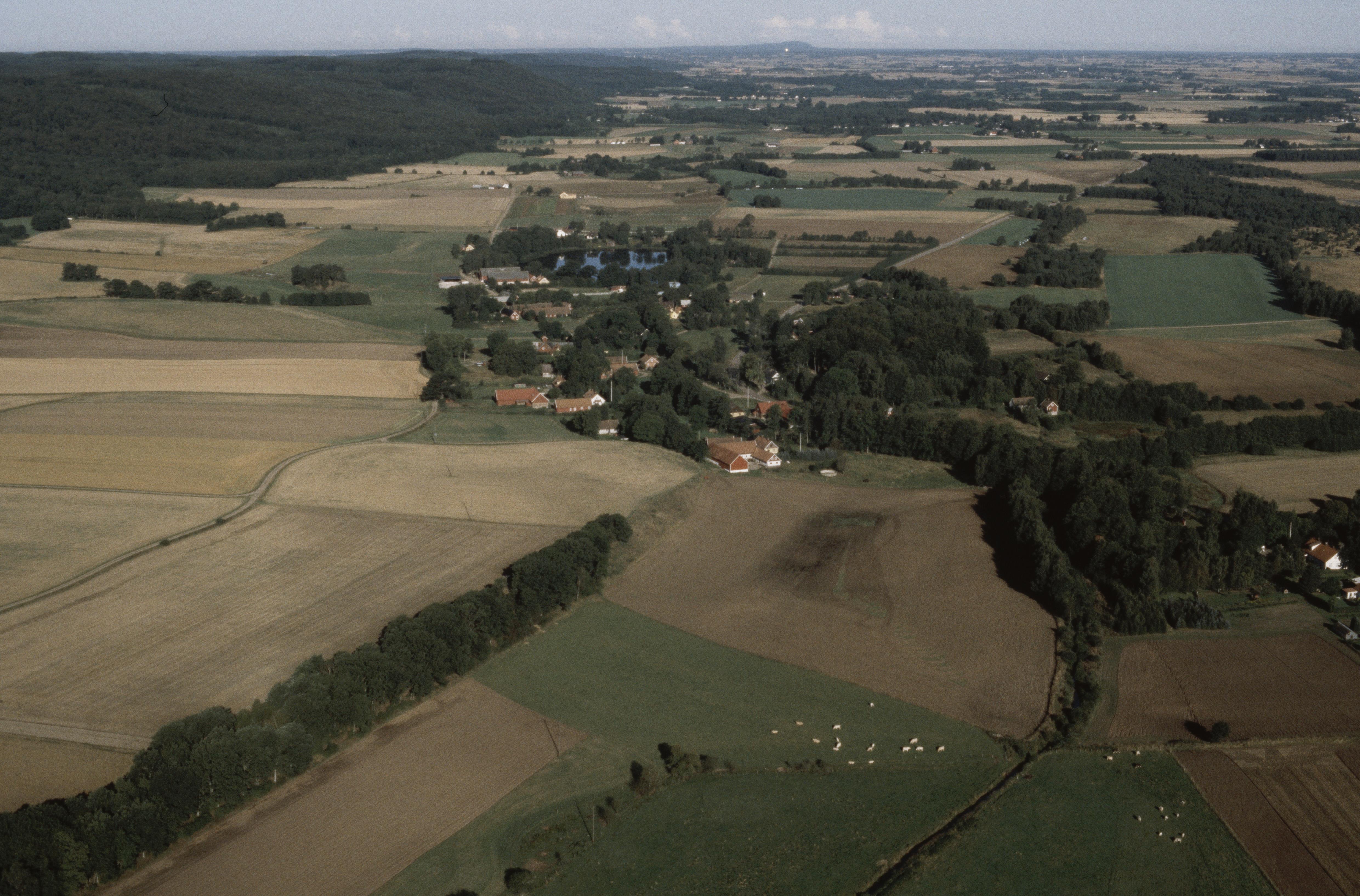 Jan Norrman, Riseberga 209:1