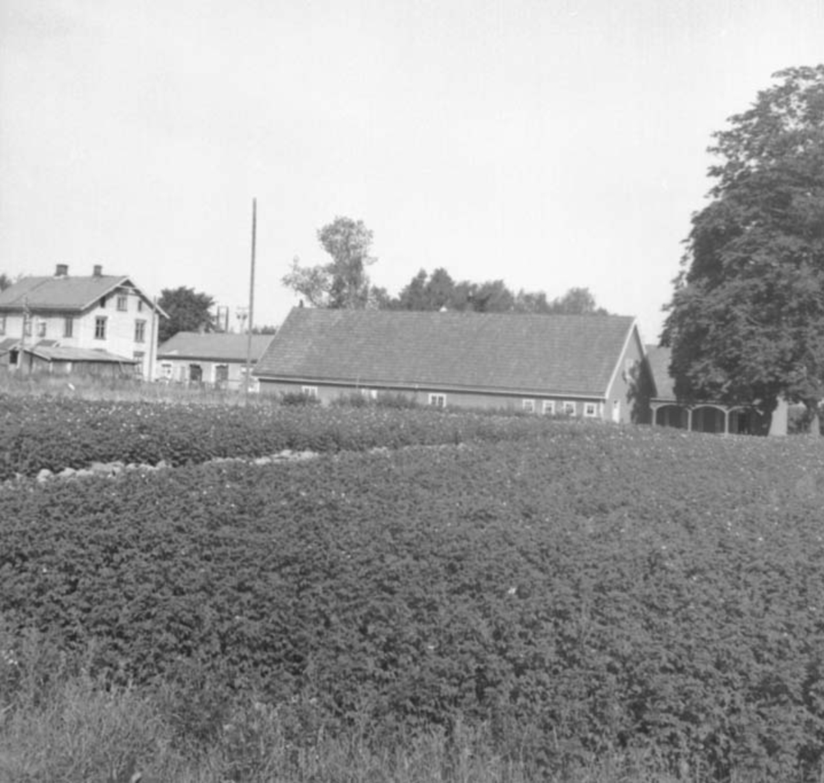 Anno Domkirkeodden, OVERSIKT SØRHOLTEBYEN, TINGVOLD-STALL, JORDE, SØRHOLTE ARBEIDERBOLIG