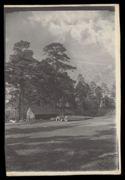 Gale, Lt. Col. Joseph, Shed and Logs in Clearing