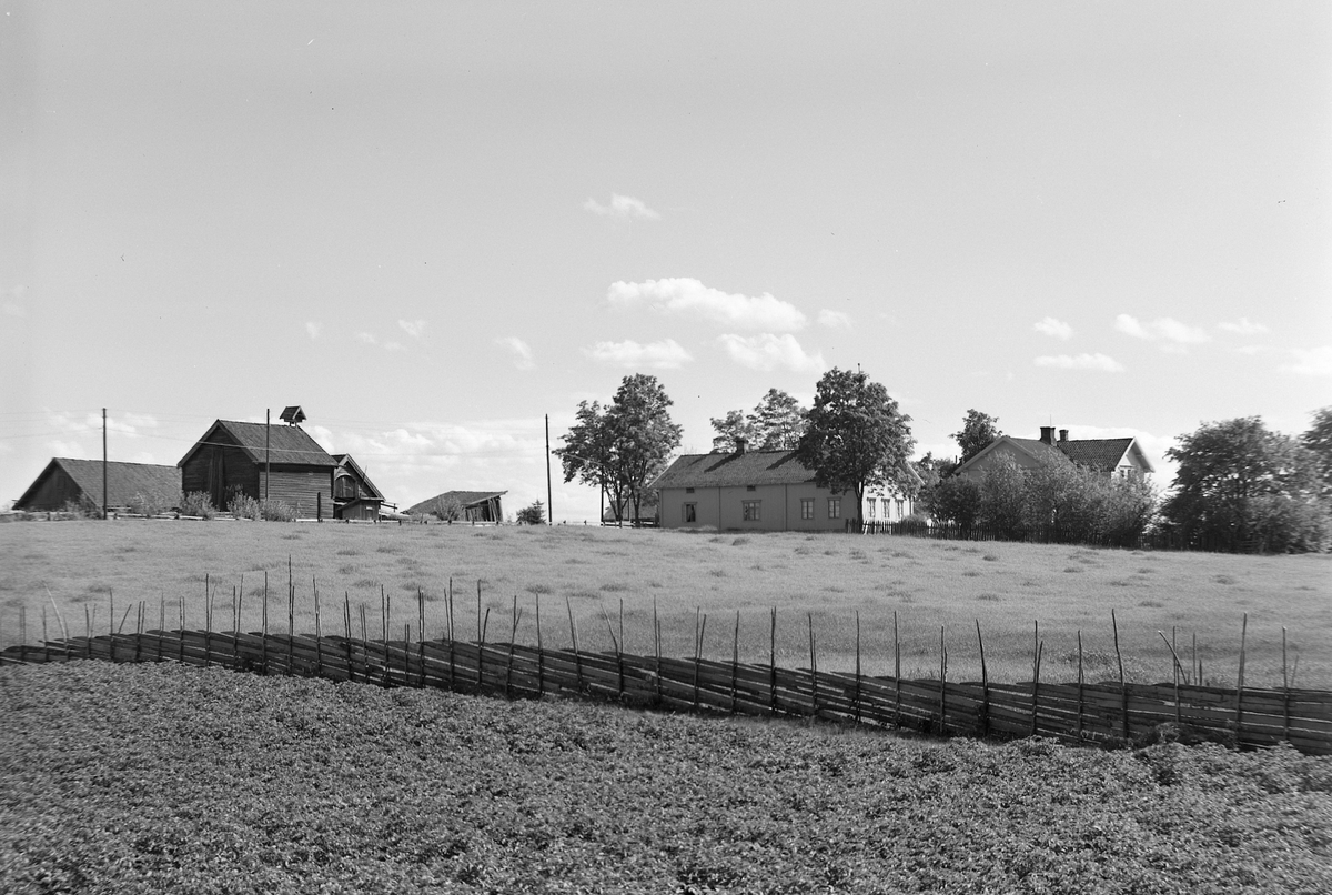 Anno Domkirkeodden, EKSTR: GARDSTUN, HOMMERSTAD ØVRE. Se Løtenboka, bind 3. Bygdeboka fra 1955, side 106