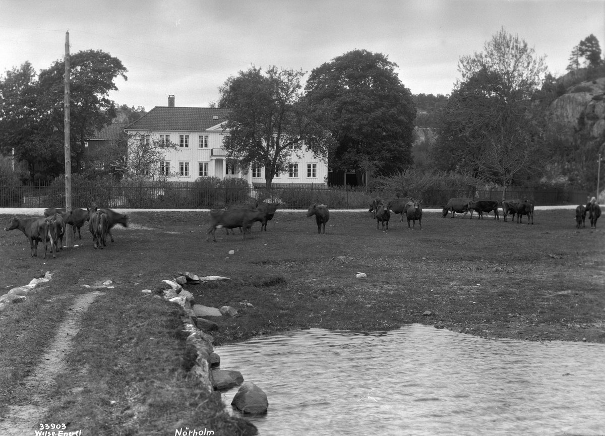 Anders Beer Wilse, Prot: Sørlandet - Nørholm