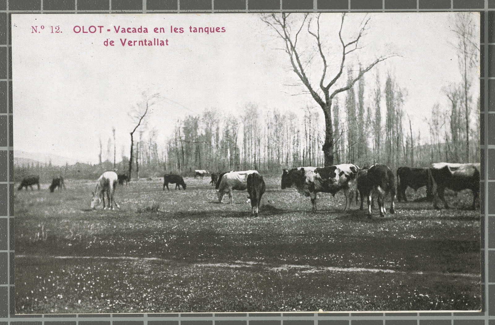 Desconegut, No. 12. Olot - Strike on the fences of Verntallat