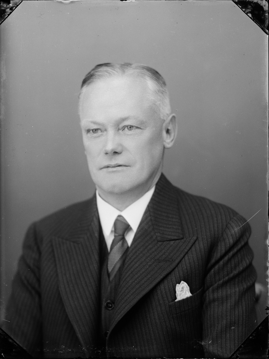 Skötsner-Edhlund, Ateljéporträtt - kamrer Hofstedt, Östhammar, Uppland 1935
