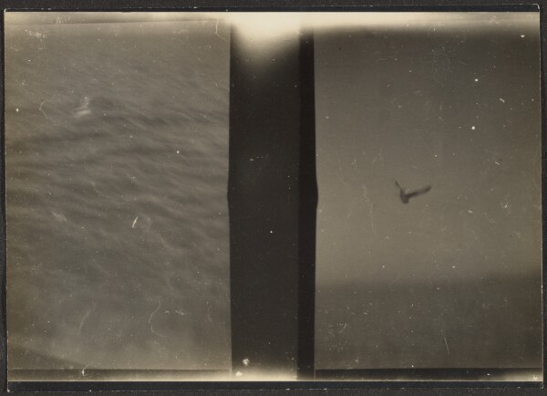 Louis Fleckenstein, [Double Frame - Landscapes]