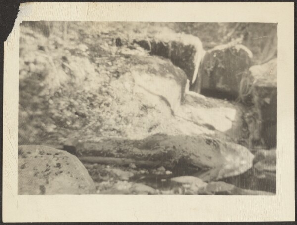 Louis Fleckenstein, [Landscape]