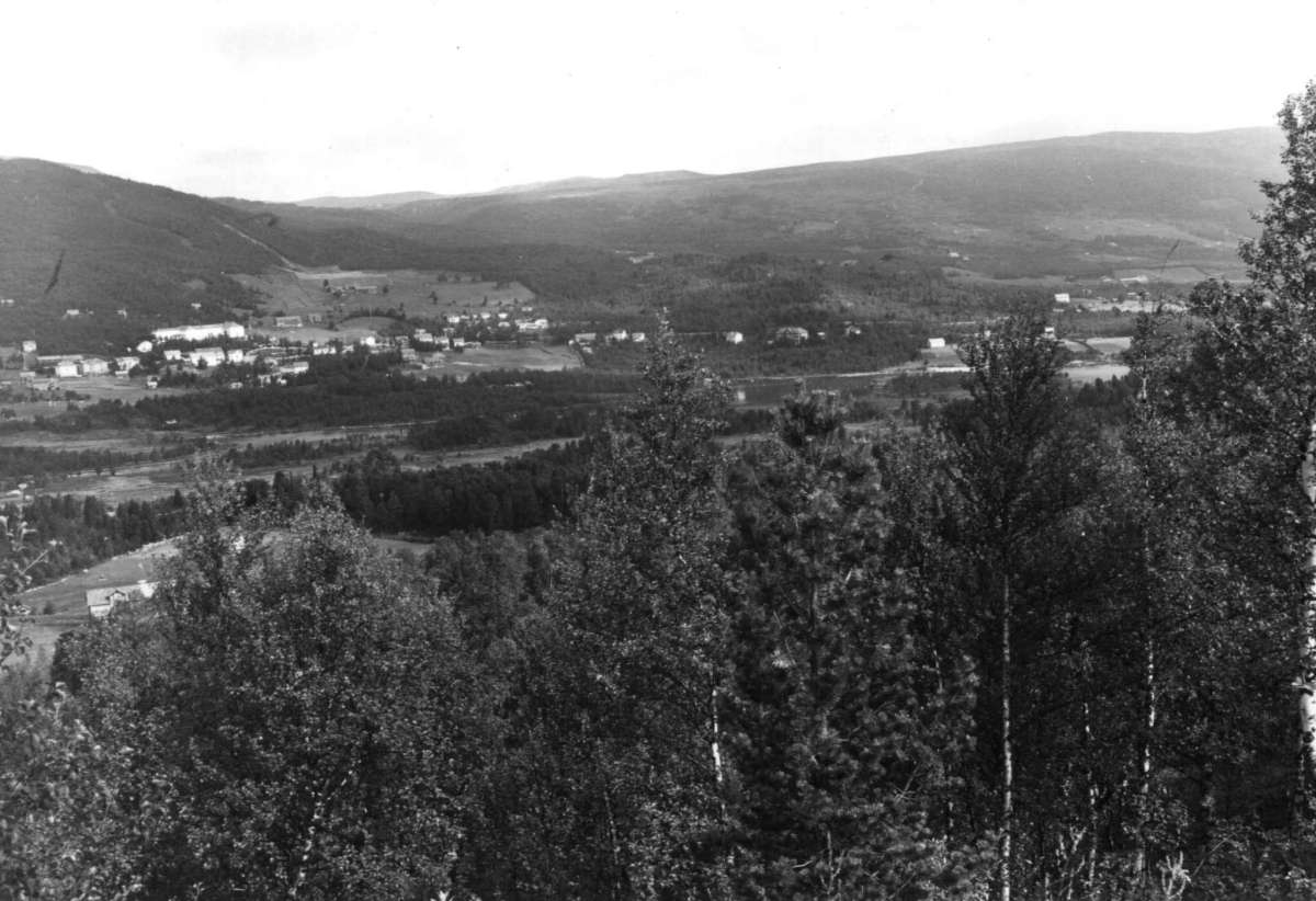 Hermann Christian Neupert, Geilo, Hallingdal. Oversiktsbilde av bygda, skog, åser og fjell. Bebyggelse.