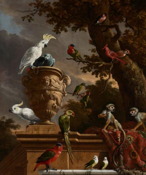 Melchior d' Hondecoeter, De menagerie