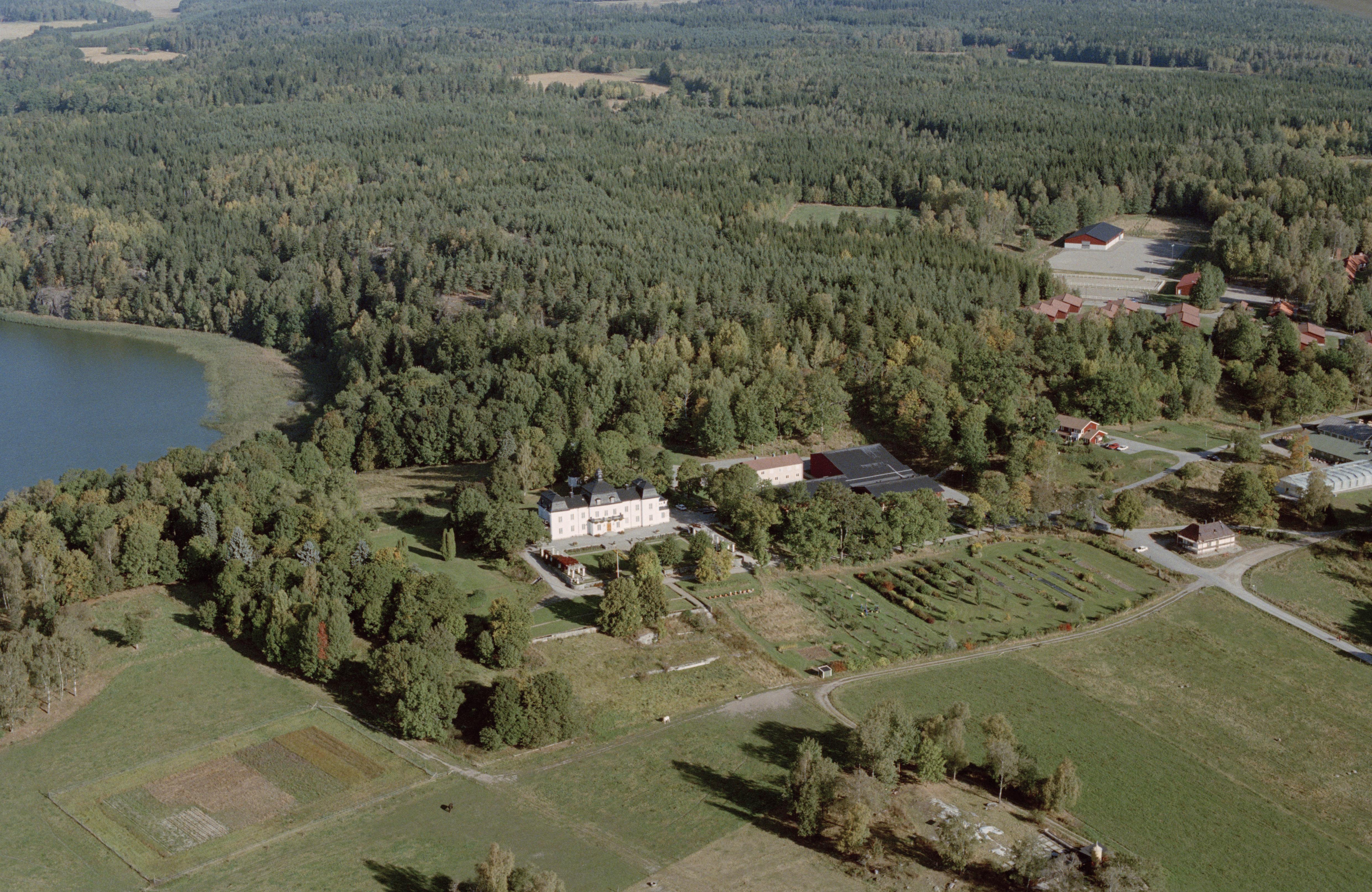 Jan Norrman, Bogsta 20:1