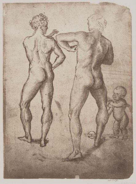 Fratelli Alinari, Studies of nude figures