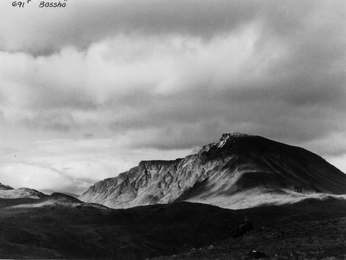 Anders Beer Wilse, Jotunheimen, Bessho, Fjellvidde
