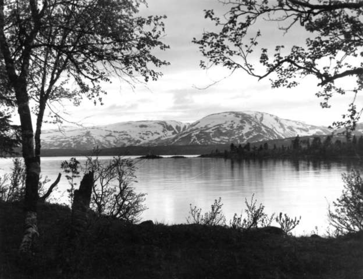 Anders Beer Wilse, -5807