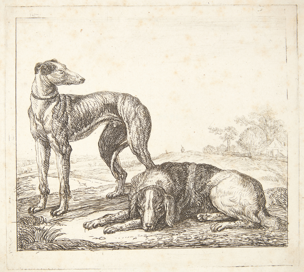 Simon de Vlieger, En mynde og en liggende hund