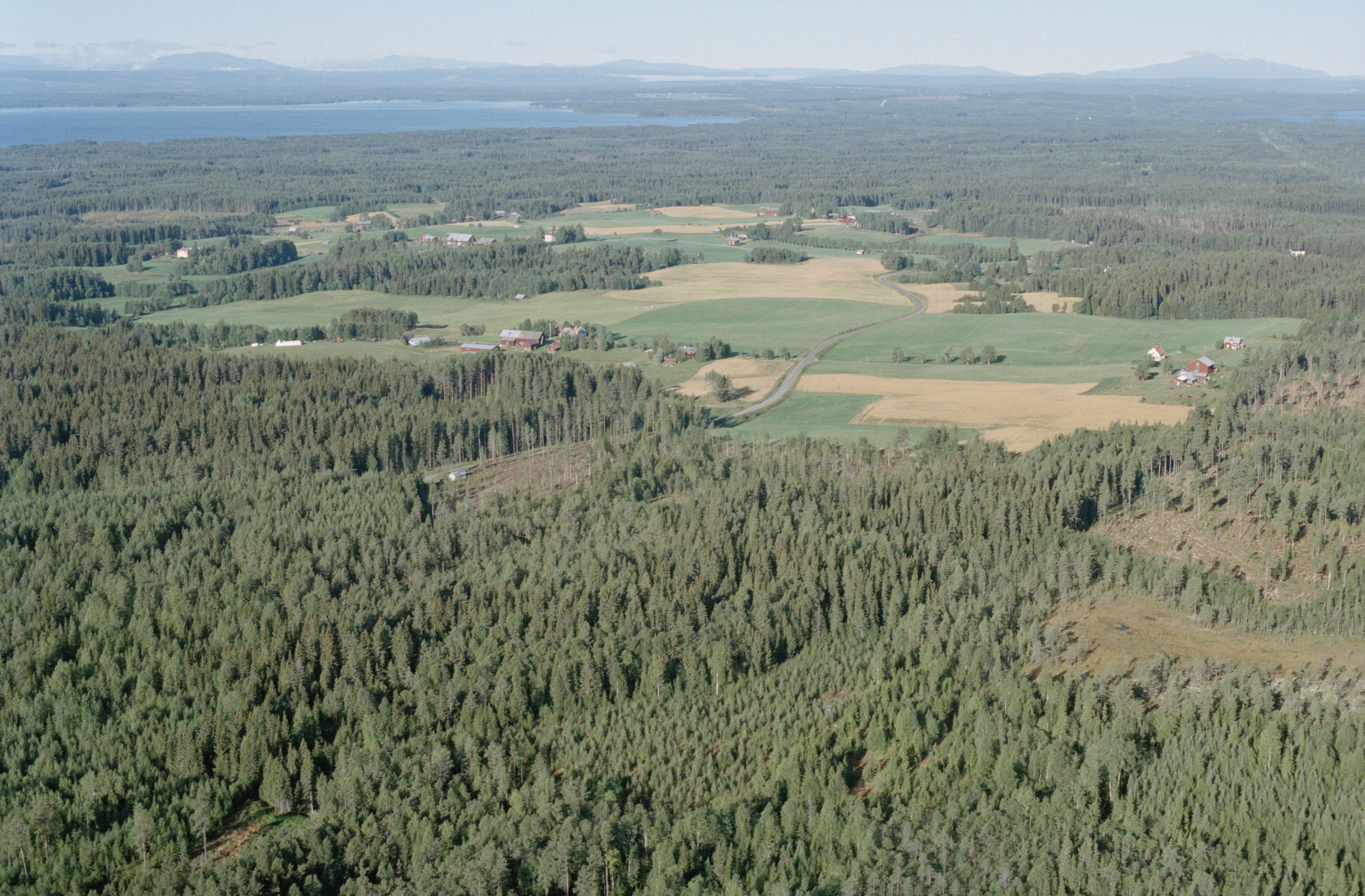 Jan Norrman, Näskott 183:1
