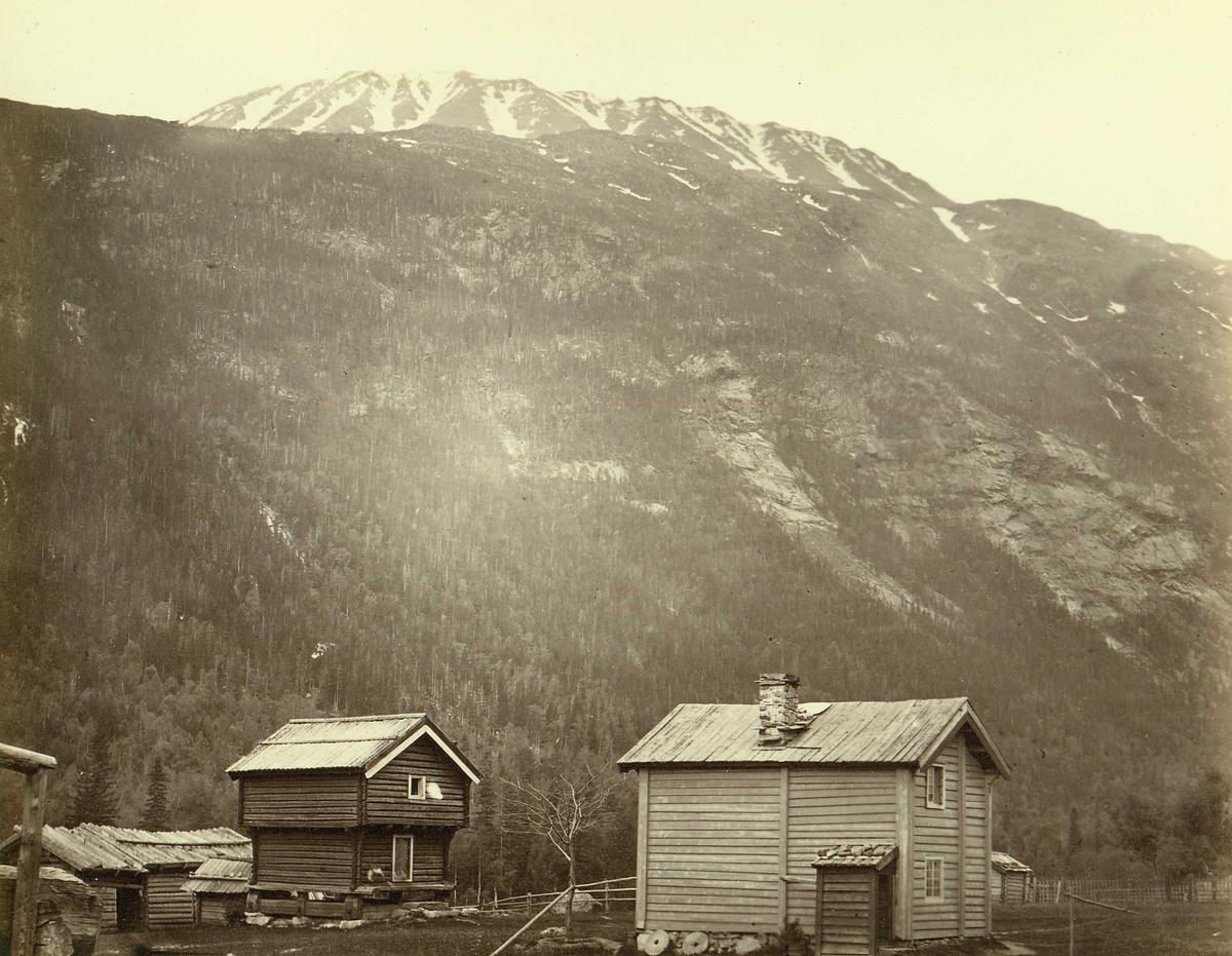 Henry Rosling, Landskap, ant. Dal, Tinn, Telemark, med Gaustatoppen i bakgrunnen. I forgrunnen gårdstun, ant. hos Ole Torgersen Dahl (se også NF.15003-029, ant. samme hus). Fra serie norske landskapsfotografier tatt av den engelske fotografen Henry Rosling (1828-1911).