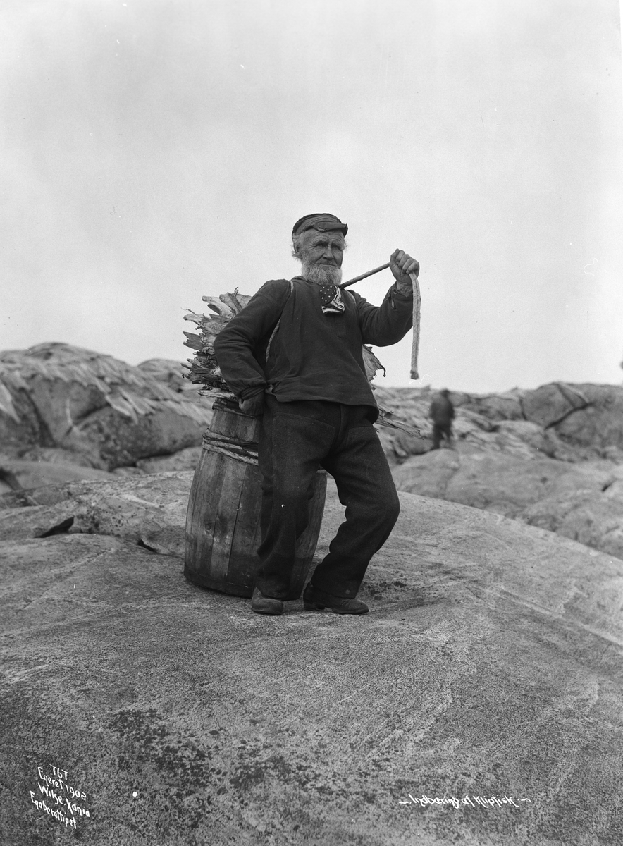 Anders Beer Wilse, Prot: Genere Indbæring av Klipfisk Sep. 1902