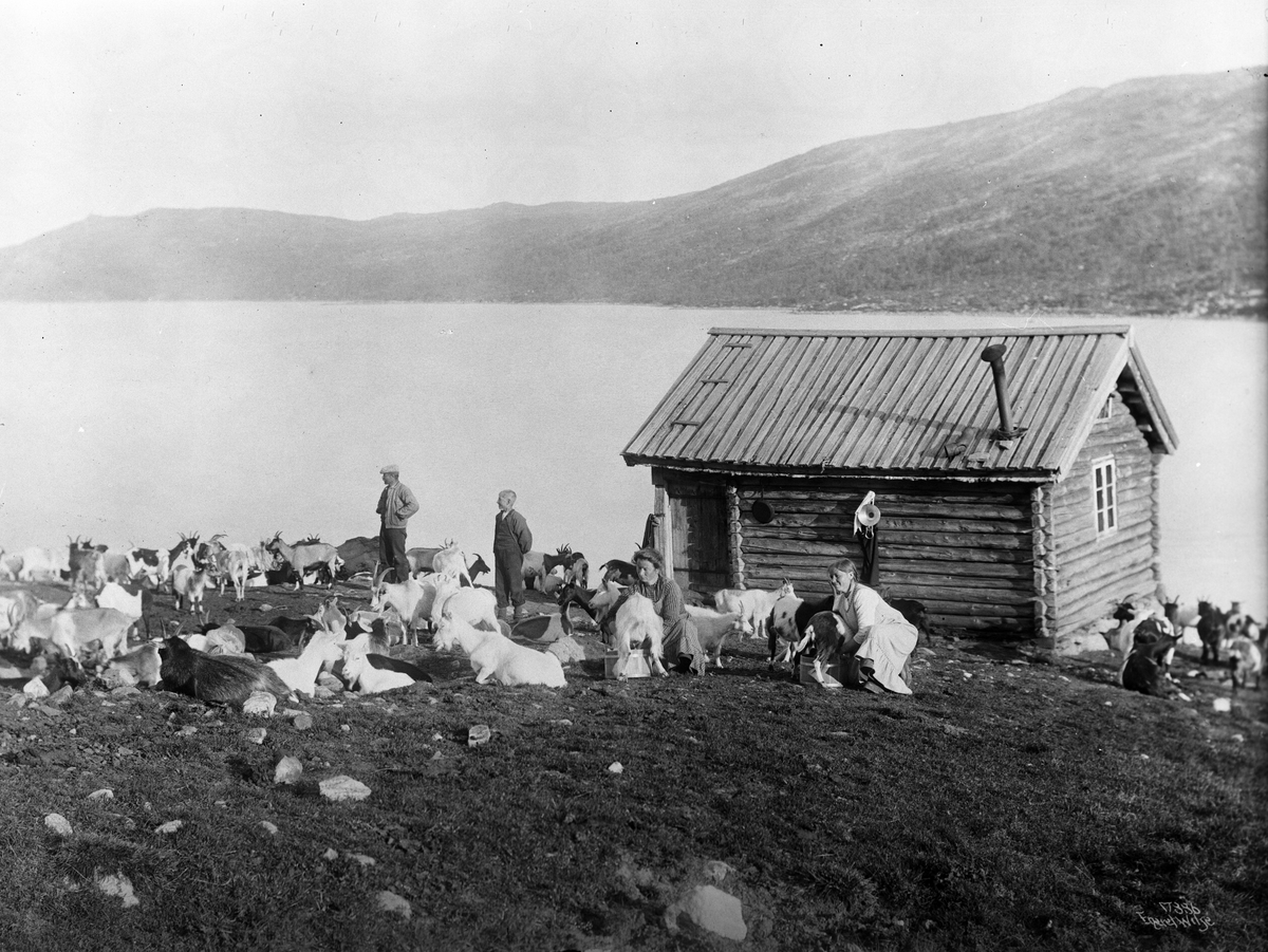Anders Beer Wilse, Prot: Ustevand Sæter