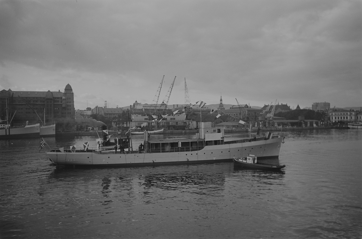 Anders Beer Wilse, Prot: Nyland