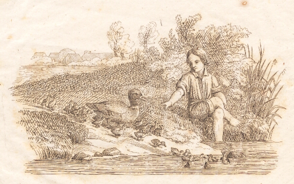 Martinus Rørbye, Illustration til "Halvhundrede Fabler for Børn" af Hey