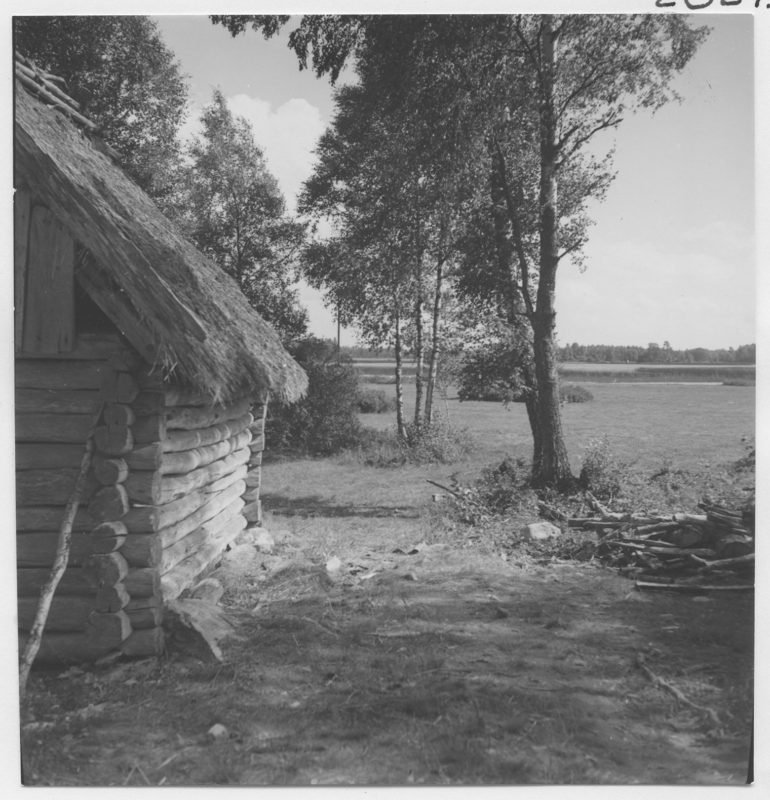 Mårten Sjöbeck, Kläcklinge