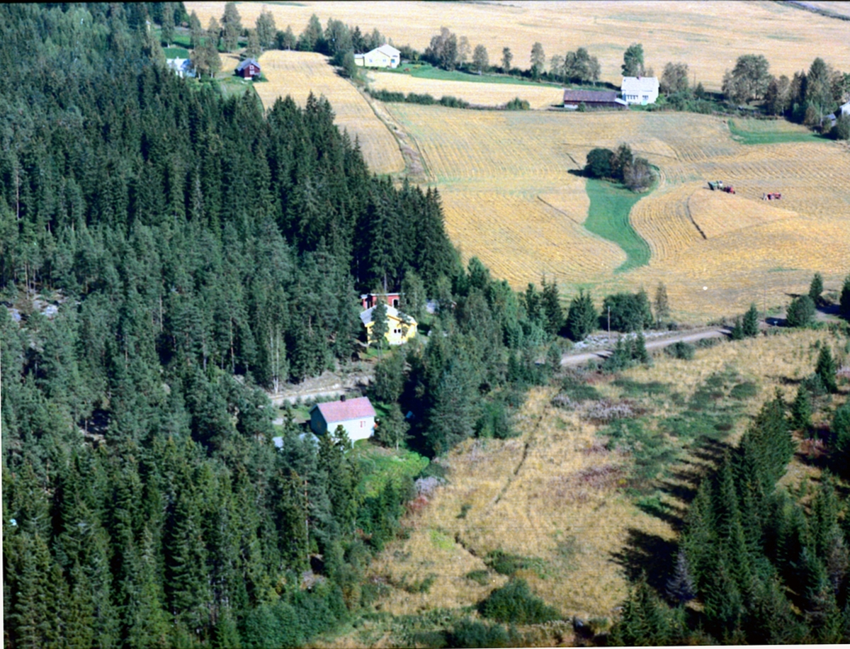 Widerøes Flyveselskap A/S, Flyfoto, ved Langgutua. Ådalsbruk. Klæpa. Løten.