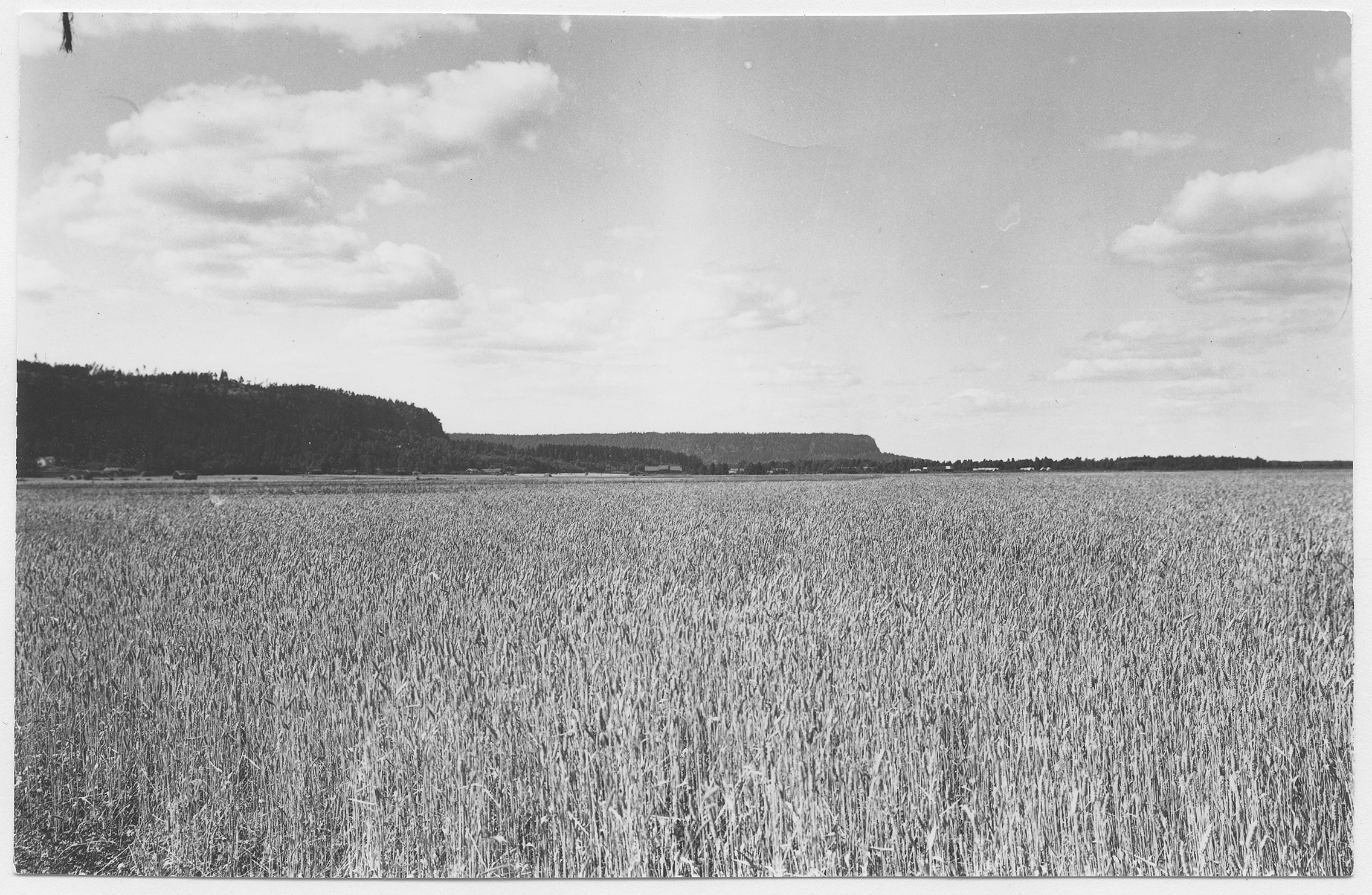 Mårten Sjöbeck, Hunneberg och Halleberg