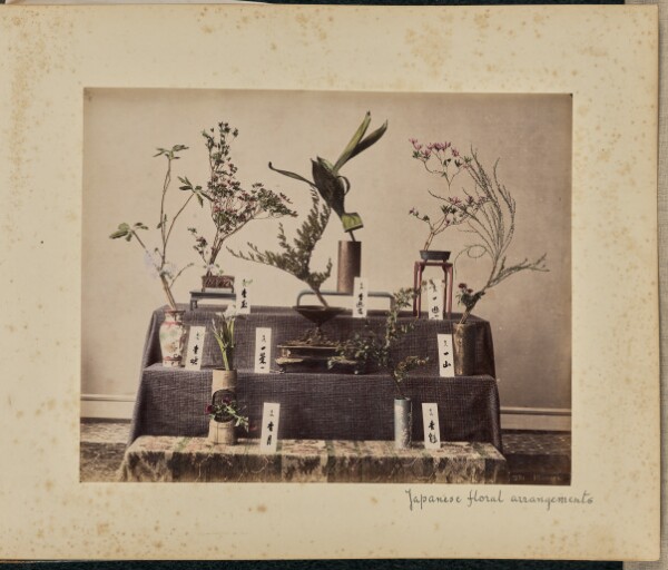 Unknown, Flowers