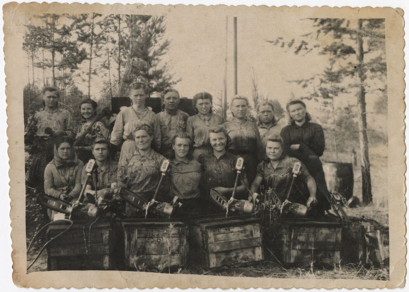 Nežinomas autorius, Miško pjovėjos