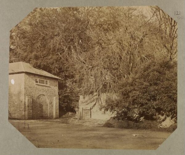 Clementina, Lady Hawarden, Photograph