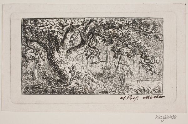 J.P. Møller, Skovegn