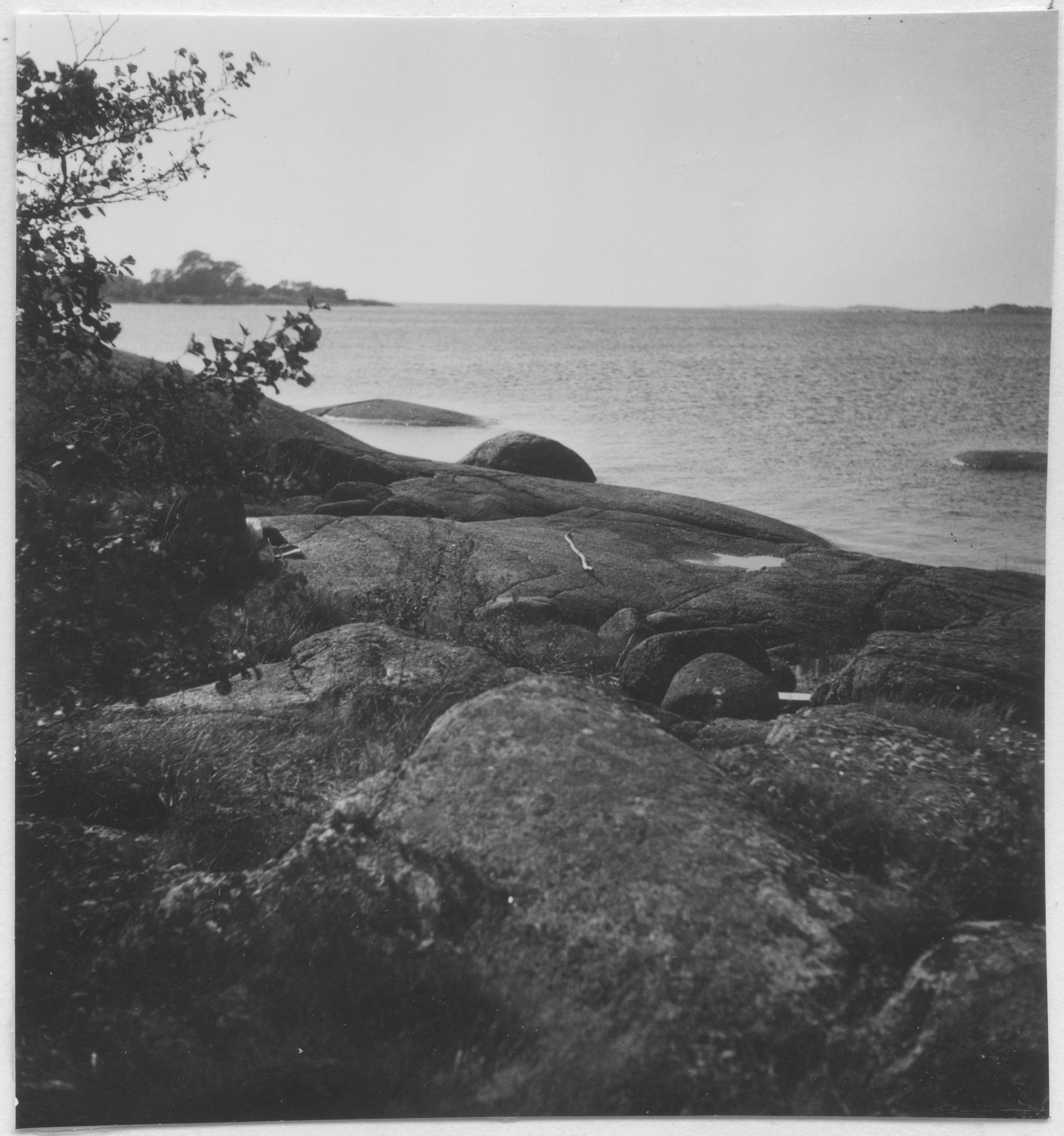 Mårten Sjöbeck, Gökalv