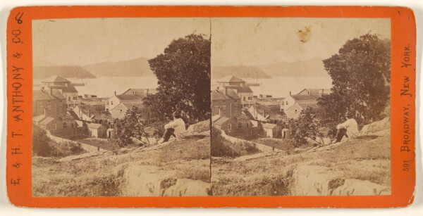 Edward and Henry T. Anthony & Co., View from Cold Spring, Looking South.
