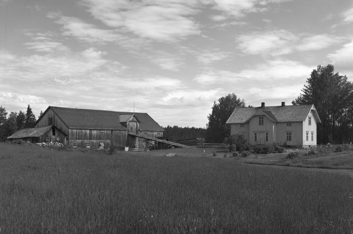 Anno Domkirkeodden, EKSTR: GARDSTUN, VEIDEBORG, LØTEN. Se Løtenboka, bind 3. Bygdeboka fra 1955, side 625