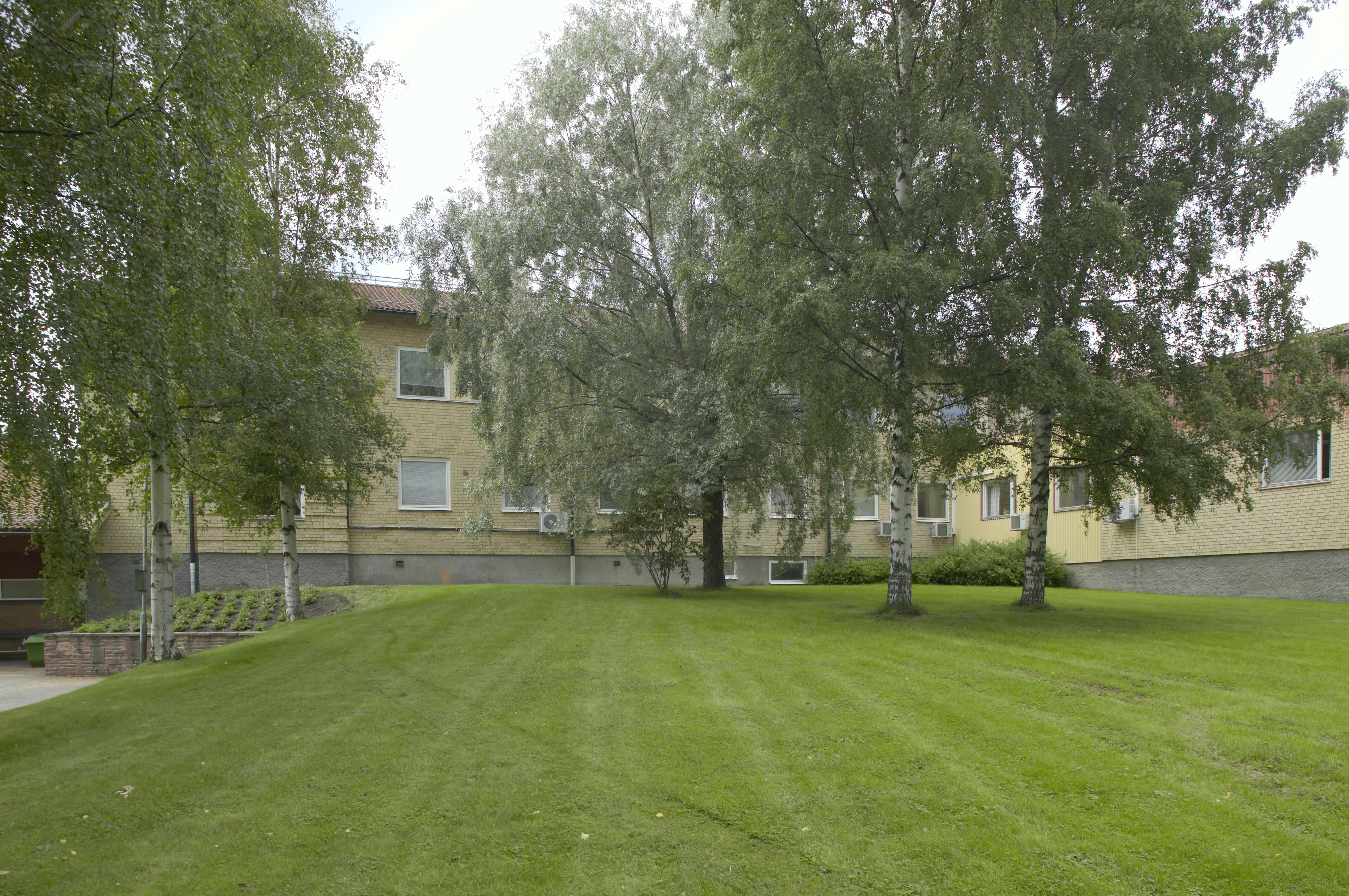 Bengt A Lundberg, Smedjebacken