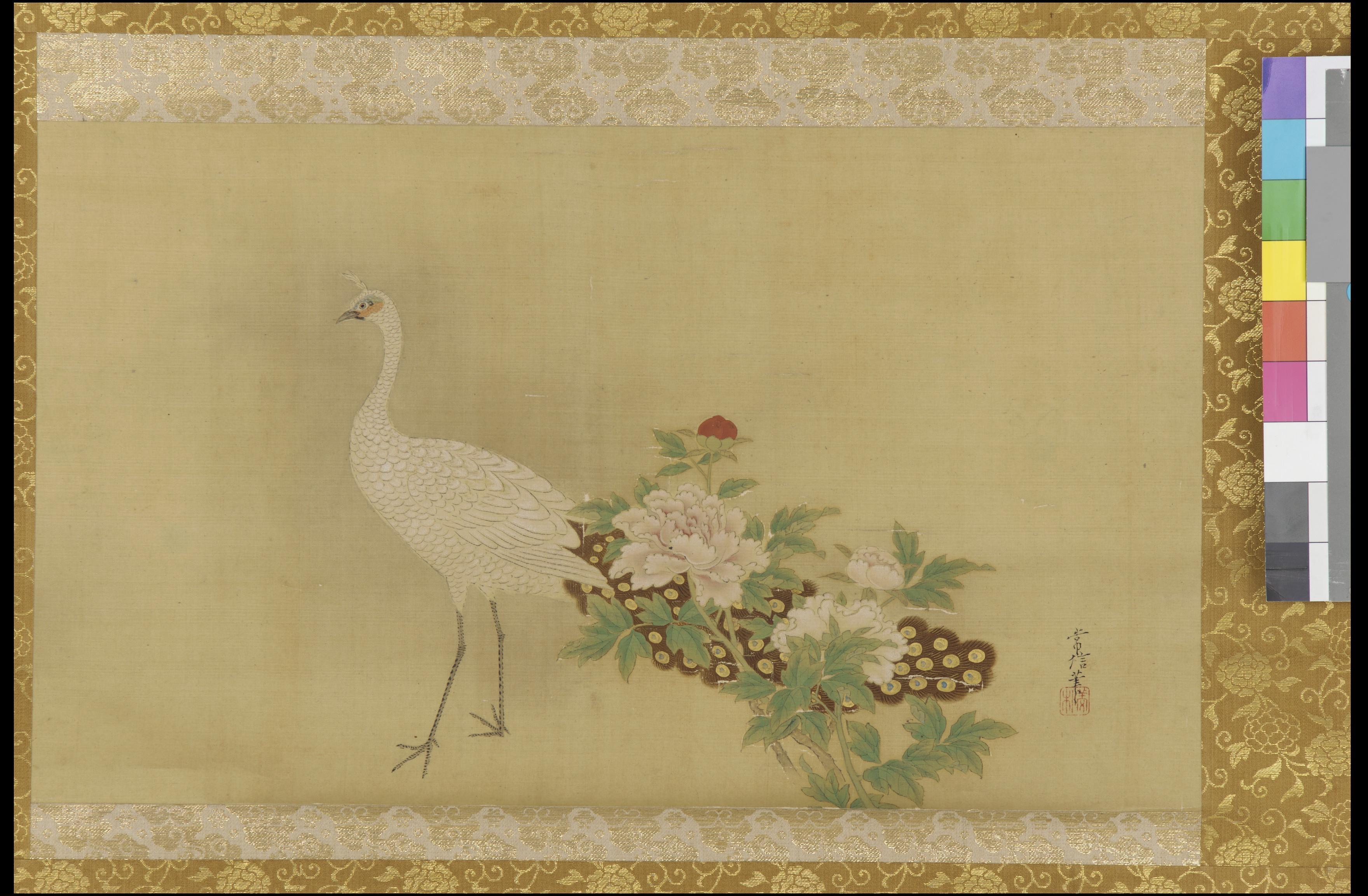 Kano Tsunenobu, White peacock and peonies