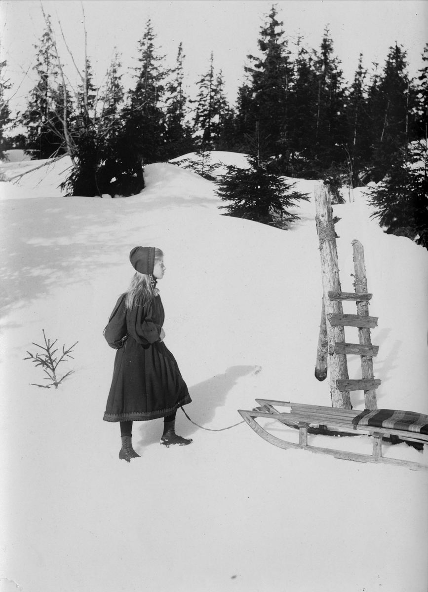 Robert Collett, Pike med kjelke i vinterlandskap, ukjent sted. Serie tatt av Robert Collett (1842-1913), amatørfotograf og professor i zoologi.