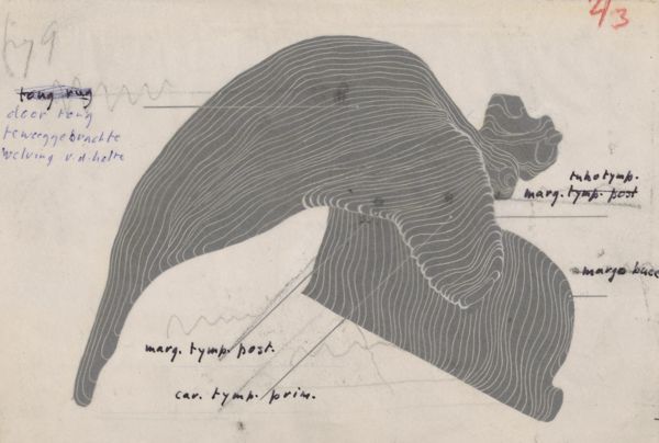 Harry de Bles, Part of the respiratory or digestive system