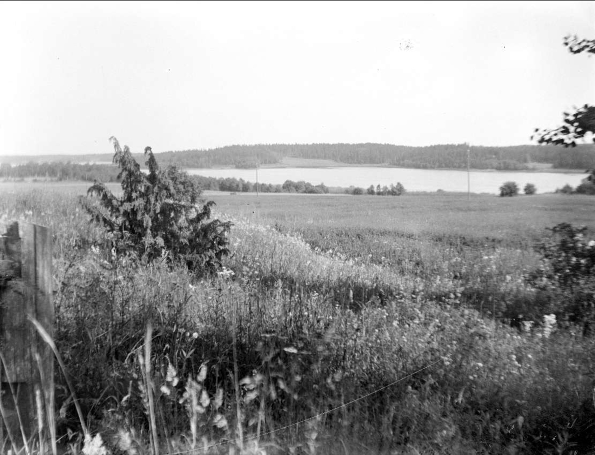 August Fredrik Schagerström, Landskapsvy med sjön Ösmaren i Roslags-Bro socken, Uppland i juli 1927