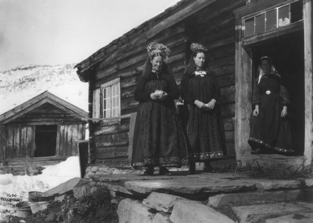 Hermann Christian Neupert, Kvinnedrakter fra Leveld, Ål 1919-1920. Vinterbilde. Kvinner foran tømmerstue.