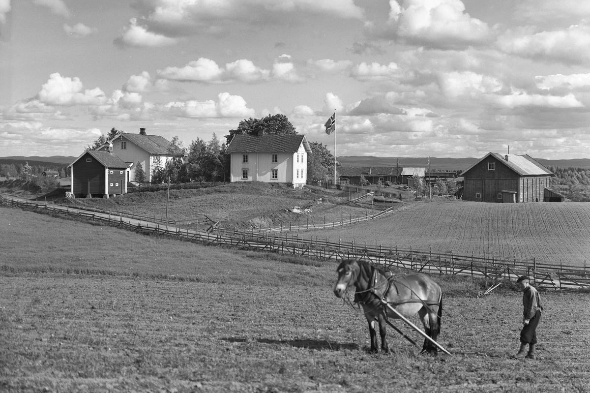 Anno Domkirkeodden, EKSTR: GARDSTUN, TRÆTTEBERGSEIET, TRÆPPERSTUA. Se Løtenboka, bind 1. Bygdeboka fra 1949, side 621