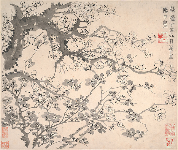Jin Nong, Plum blossoms