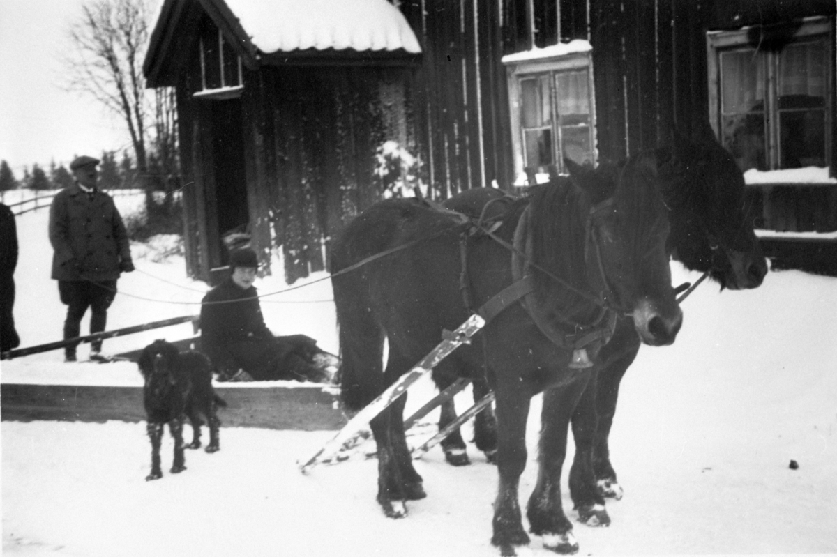Normann Helger, SNØPLOGKJØRING MED HEST, FOLK, LØKENBYGNINGEN, STOR REE, RE STORE/KJERNMYR. /HAUG, VINTER