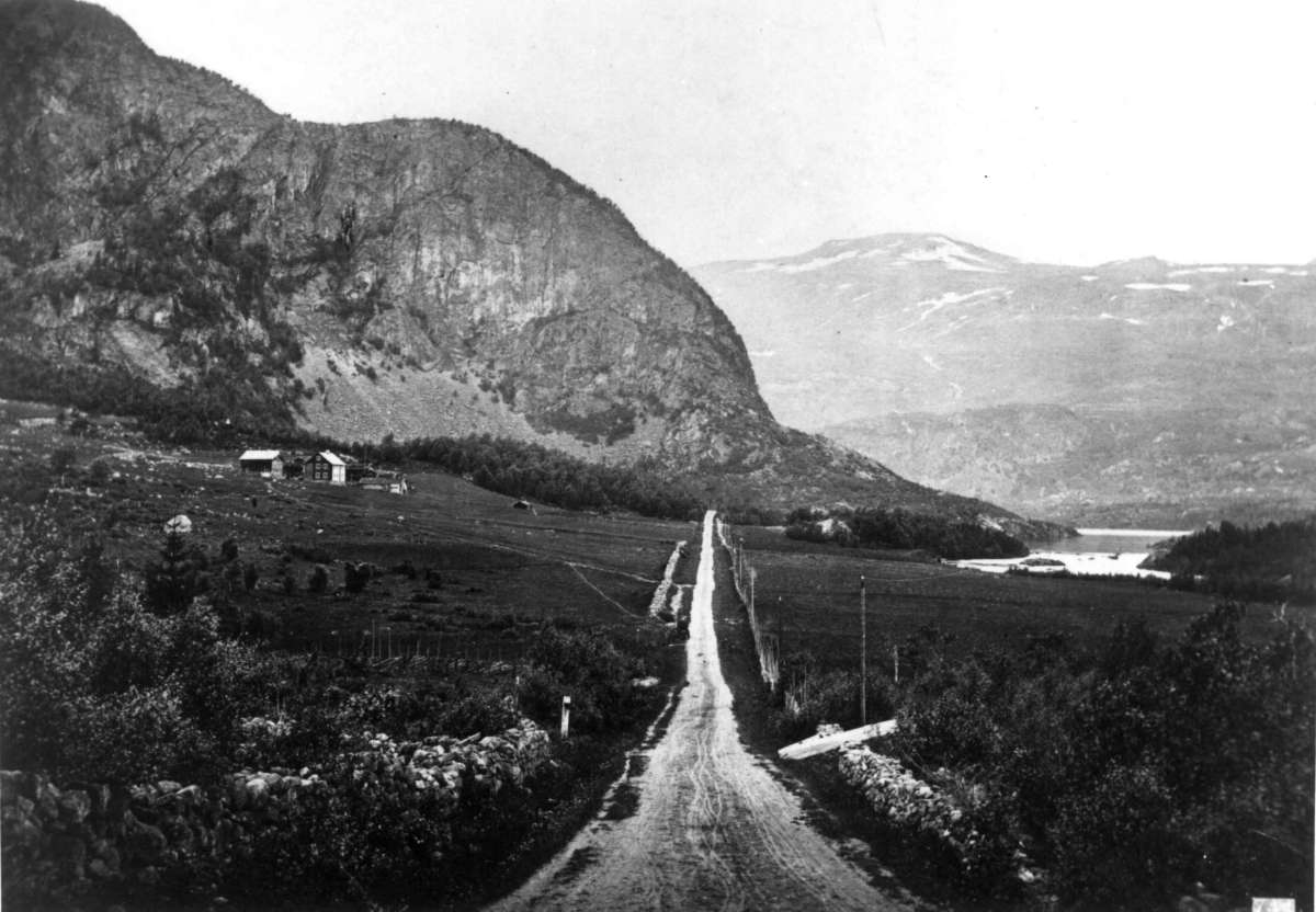 Knud Knudsen, (U.nr.) Parti ved Øilo (Øylo?), Vang O, Valdres. Veiparti i dalføre med noe bebyggelse. Fra prospektserie (nr.?) tatt av fotograf Knud Knudsen (1832-1915).