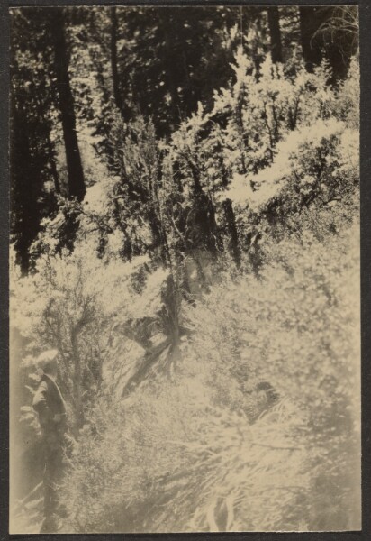 Louis Fleckenstein, [Landscape]