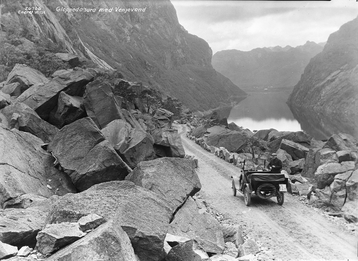 Anders Beer Wilse, Prot: Gloppedalsura